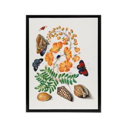 "Artery8 Flowers Butterflies & Seashells Bolton Black Framed Canvas Wall Art - Size: W18"" x H24""" - thumbnail 1