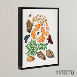 "Artery8 Flowers Butterflies & Seashells Bolton Black Framed Canvas Wall Art - Size: W18"" x H24""" - thumbnail 2