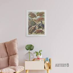 "Artery8 Chelonia Turtles Vintage Haeckel Botanical Canvas Wall Art - Size: W18"" x H24""" - thumbnail 3