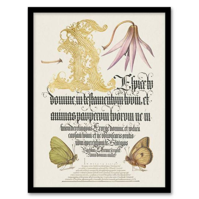 Artery8 Dog Tooth Violet & Butterflies Calligraphy Framed Wall Art Print in White - Size: A4 - image 1