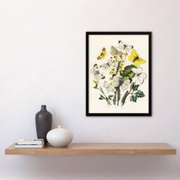 Artery8 Caterpillars & Butterflies Kirby Vintage Framed Wall Art Print in White - Size: A4 - thumbnail 4