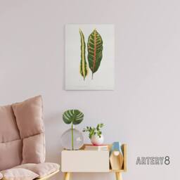 "Artery8 AF Lydon Benjamin Fawcett Croton Plant Leaf Varieties Canvas Art Print in White - Size: W12"" x H16""" - thumbnail 3