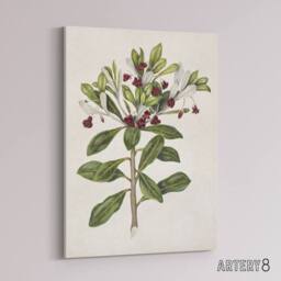 "Artery8 New Zealand Kohuhu & Karo Plant Featon Canvas Wall Art Print in Beige - Size: W12"" x H16""" - thumbnail 2