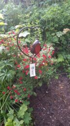 Inspirational Gifting Red Robin in a Heart Garden Plant Stake in Brown - thumbnail 5