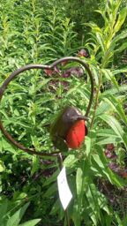 Inspirational Gifting Red Robin in a Heart Garden Plant Stake in Brown - thumbnail 4