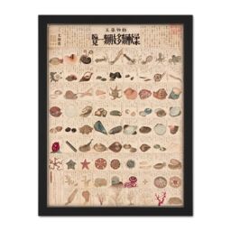 "Artery8 Wall Art Print Kato Chikusai Species of Sea Life Shellfish Japan Large Framed Wall Décor Art in Light Oak - Size: W18"" x H24""" - thumbnail 1