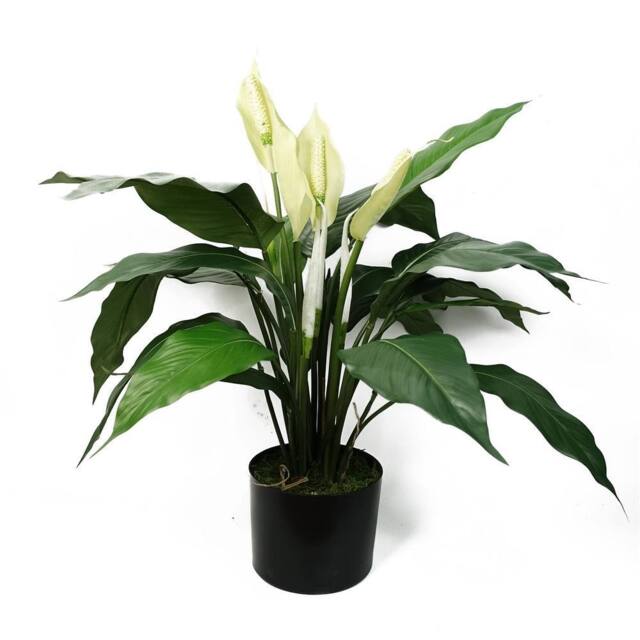 Leaf Artificial White Spathiphyllum Peace Lily - image 1