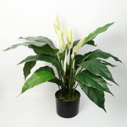 Leaf Artificial White Spathiphyllum Peace Lily - thumbnail 3