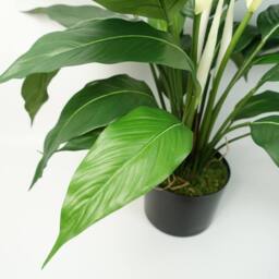Leaf Artificial White Spathiphyllum Peace Lily - thumbnail 4
