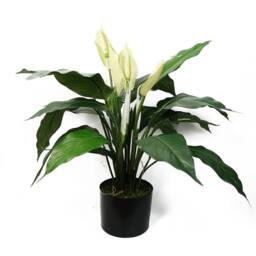 Leaf Artificial White Spathiphyllum Peace Lily - thumbnail 1