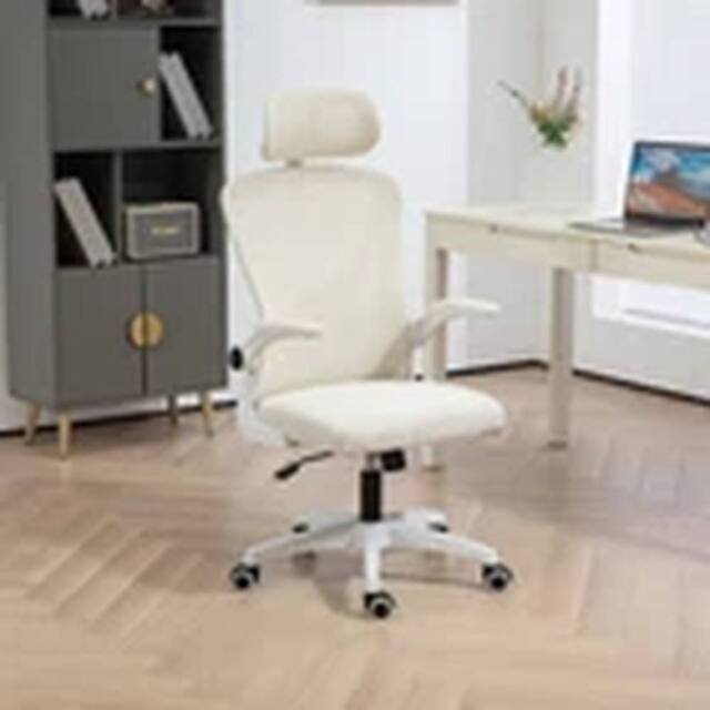EONLION Home Office Chair High Back Mesh Office Chair Computer Desk Chair in Beige - image 1