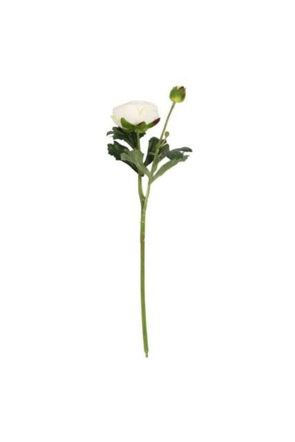 KDMD 38cm Rannunculus Cream 5 Pack White - image 1
