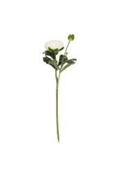 KDMD 38cm Rannunculus Cream 5 Pack White - thumbnail 1