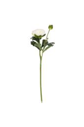 KDMD 38cm Rannunculus Cream 5 Pack White - thumbnail 2