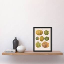 Artery8 Ernst Benary Melon Varieties Vintage Illustration Framed Art Print in White - Size: A4 - thumbnail 2