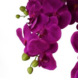 Leaf Giant Purple Orchid Plant Artificial 189 flowers REAL TOUCH Botanik in Green - thumbnail 2