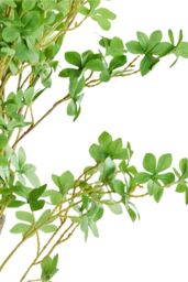Living and Home 1.8m Artificial Fuchsia Tree Potted Plant Home Decor for Living Room, Hallway & Office in Green - thumbnail 3