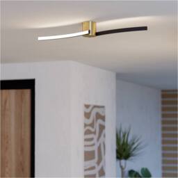 Loops Stylish Modern Brushed Brass & Black Ceiling Light for Indoor Spaces - thumbnail 1