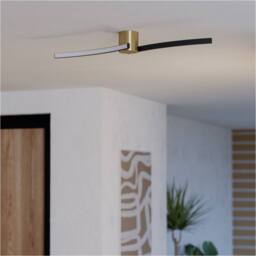 Loops Stylish Modern Brushed Brass & Black Ceiling Light for Indoor Spaces - thumbnail 3