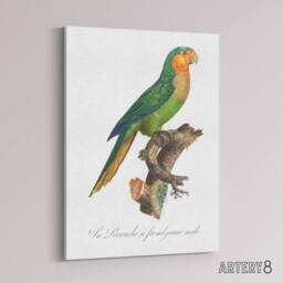 "Artery8 The Yellow Headed Amazon Parrot Levaillant Canvas Wall Art Print in White - Size: W12"" x H16""" - thumbnail 2
