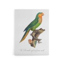 "Artery8 The Yellow Headed Amazon Parrot Levaillant Canvas Wall Art Print in White - Size: W12"" x H16""" - thumbnail 1