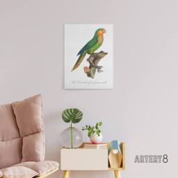 "Artery8 The Yellow Headed Amazon Parrot Levaillant Canvas Wall Art Print in White - Size: W12"" x H16""" - thumbnail 3