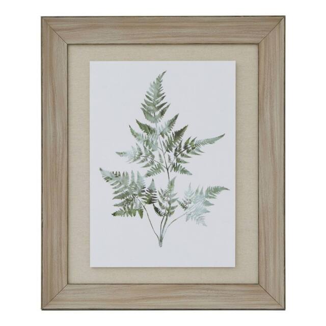 Hill Interiors Bracken Fern Framed Art Print in Dark Brown - image 1