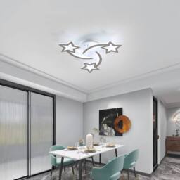 Pheashine Modern Acrylic Ceiling Light 40W Cool White 6500K Indoor lighting 51cm - thumbnail 7