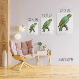 "Artery8 The Southern Mealy Amazon Parrot Levaillant Canvas Wall Art Print in White - Size: W12"" x H16""" - thumbnail 4