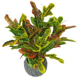 Leaf 65cm Artificial Codiaeum Multicoloured Bright House Plant in Orange - thumbnail 2