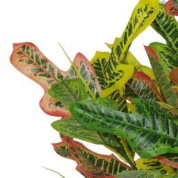Leaf 65cm Artificial Codiaeum Multicoloured Bright House Plant in Orange - thumbnail 3