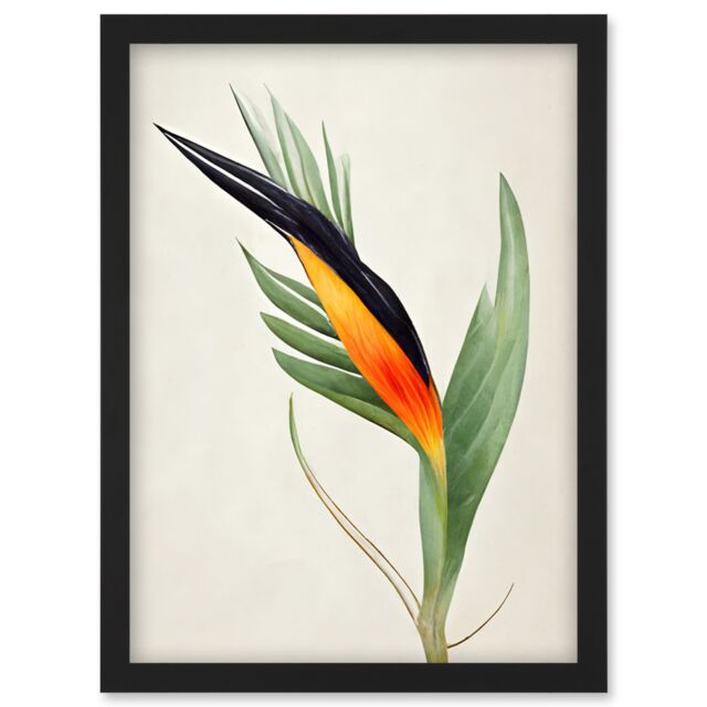 Artery8 Tropical Bird of Paradise Flower Gold Black Illustration Artwork Framed Wall Art Print A4 - image 1