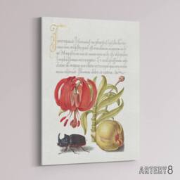 "Artery8 Turks Cap Lily Fig & Beetle Calligraphy Canvas Wall Art Print in White - Size: W12"" x H16""" - thumbnail 2