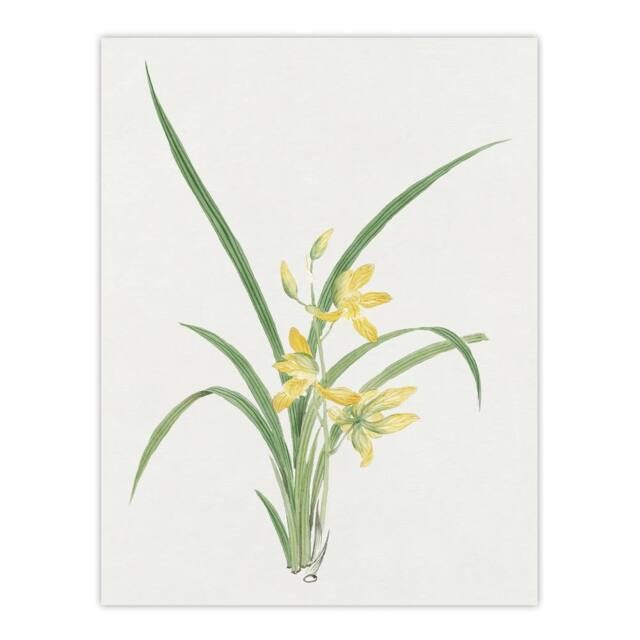 "Artery8 Yellow Lilies Wall Art Print Vintage Japanese Botanical - Size: W12"" x H16""" - image 1