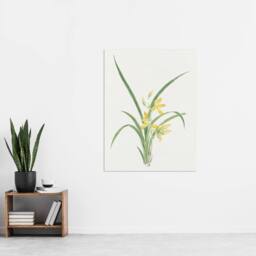 "Artery8 Yellow Lilies Wall Art Print Vintage Japanese Botanical - Size: W12"" x H16""" - thumbnail 4