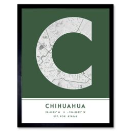 "Wee Blue Coo Wall Art Print Chihuahua Mexico City Map Modern Typography Stylish Letter Framed Word in Green - Size: W12"" x H16""" - thumbnail 1