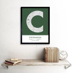 "Wee Blue Coo Wall Art Print Chihuahua Mexico City Map Modern Typography Stylish Letter Framed Word in Green - Size: W12"" x H16""" - thumbnail 2
