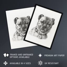 "Artery8 Dog head with a Collar Pencil Drawing Bernard Wall Art Print Poster in White - Size: W12"" x H16""" - thumbnail 2