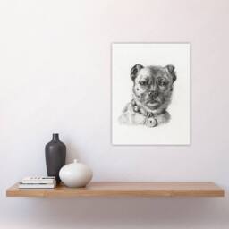 "Artery8 Dog head with a Collar Pencil Drawing Bernard Wall Art Print Poster in White - Size: W12"" x H16""" - thumbnail 4