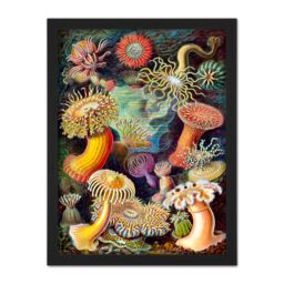 "Artery8 Wall Art Print Haeckel Anemone Sea Life Large Framed Wall Décor Art in Light Oak - Size: W18"" x H24""" - thumbnail 1