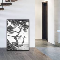 nielsen Classic A1 Picture Frame (59.4x84.1cm) - Aluminium with Glass Front in Black - Size: 59.4x84.1 cm - thumbnail 2