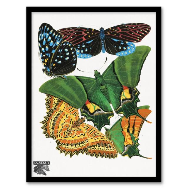 Artery8 Eugene Seguy Framed Wall Art Vintage Vibrant Butterflies Papillons - Size: A4 - image 1