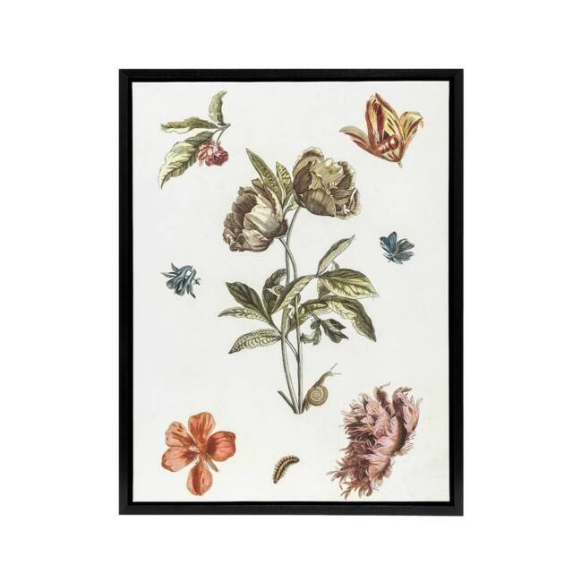 "Artery8 Flowers Snail & a Caterpillar Johan Teyler Black Framed Canvas Art in White - Size: W12"" x H16""" - image 1