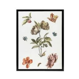 "Artery8 Flowers Snail & a Caterpillar Johan Teyler Black Framed Canvas Art in White - Size: W12"" x H16""" - thumbnail 1