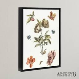 "Artery8 Flowers Snail & a Caterpillar Johan Teyler Black Framed Canvas Art in White - Size: W12"" x H16""" - thumbnail 2
