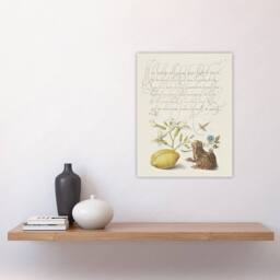 "Artery8 Gillyflower Almond & Frog Calligraphy Wall Art Poster Print in White - Size: W12"" x H16""" - thumbnail 4