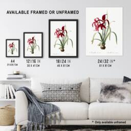 Artery8 Aztec Lily Botanical Redoute Vintage Framed Wall Art Print in White - Size: A4 - thumbnail 3