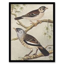 "Artery8 Two Birds on Tree Branches Vintage Framed Wall Art Print van Hoytema - Size: W12"" x H16""" - thumbnail 1