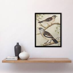 "Artery8 Two Birds on Tree Branches Vintage Framed Wall Art Print van Hoytema - Size: W12"" x H16""" - thumbnail 4