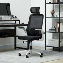 HOMCOM Executive Mesh Office Chair with Headrest, Lumbar Support in Black
